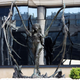 Illustration for article titled Freakin Amazing emStarCraft/em Statue Now Looms Outside Blizzard Office
